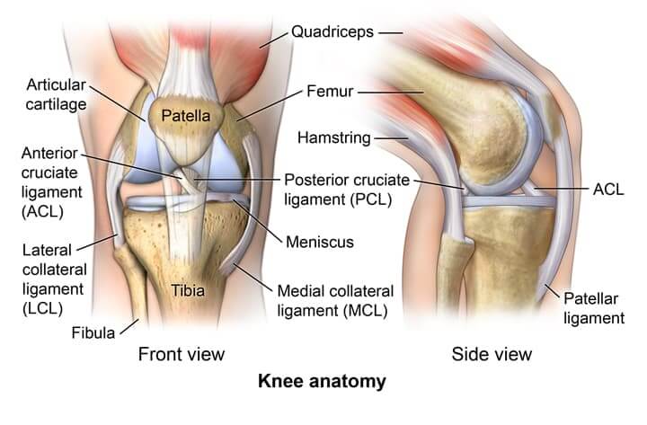 runners knee